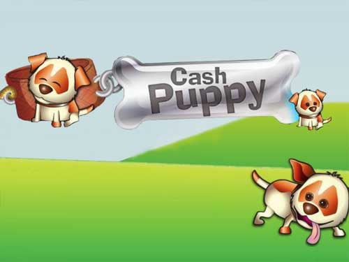 Cash Puppy Screenshot