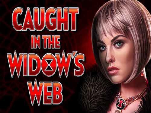 Caught in the Widows Web Slot