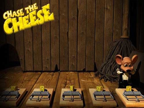Chase The Cheese Screenshot