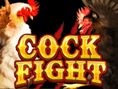 Cock Fight Slot