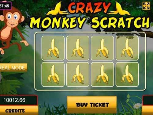 Crazy Monkey Scratch Game by CasinoWebScripts