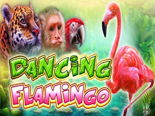 Dancing Flamingo Screenshot