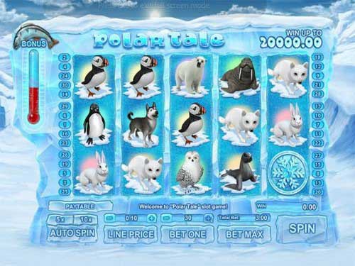 Polar Tale Slot