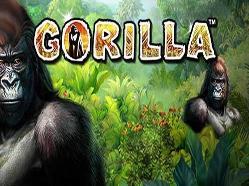 Gorilla Slot