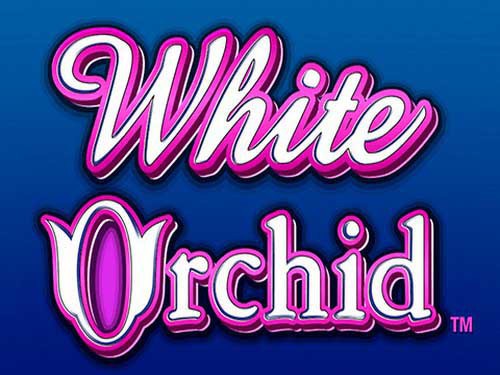 White Orchid Slot