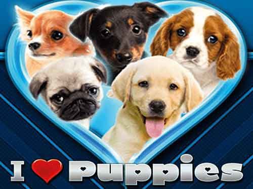 I Love Puppies Slot
