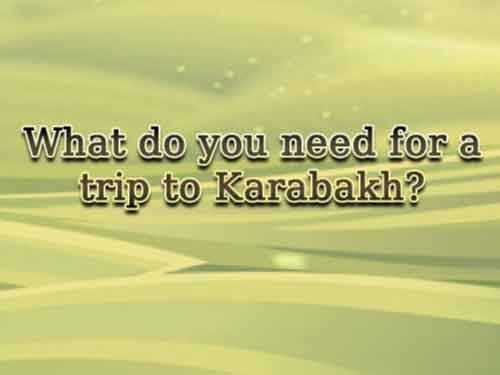 Wild Karaoke Screenshot