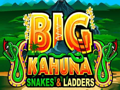 Big Kahuna Snakes and Ladders Screenshot