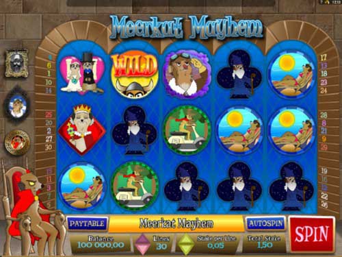 Meerkat Mayhem Slot