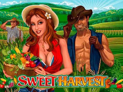 Sweet Harvest Slot