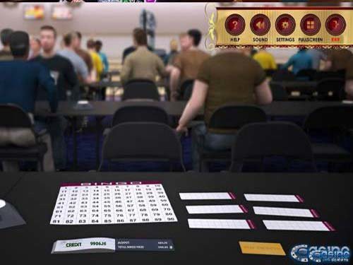 Multiplayer Bingo90 3D Game by CasinoWebScripts