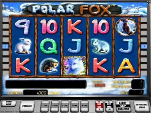 Polar Fox Slot