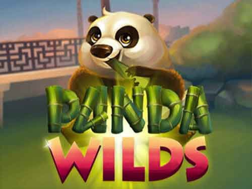Panda Wilds Slot