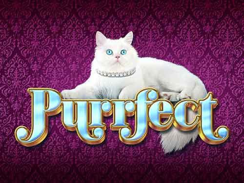 Purrfect Slot