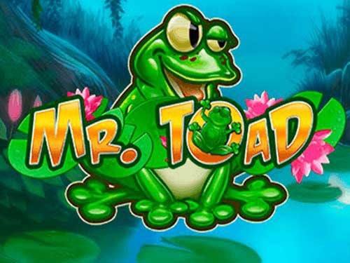 Mr Toad Screenshot