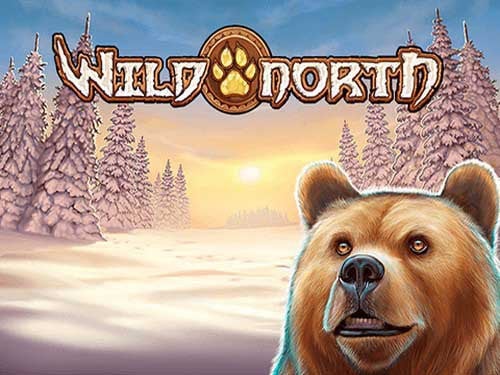 Wild North Screenshot