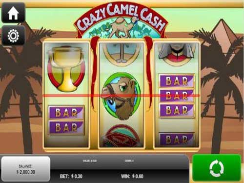 Crazy Camel Cash Slot