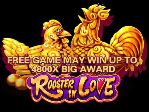 Rooster in Love Slot