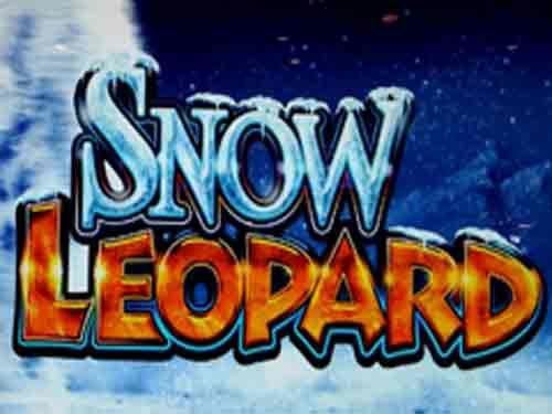 Snow Leopard Slot