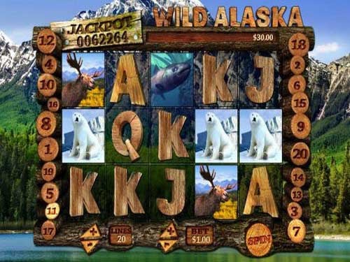 Wild Alaska Screenshot