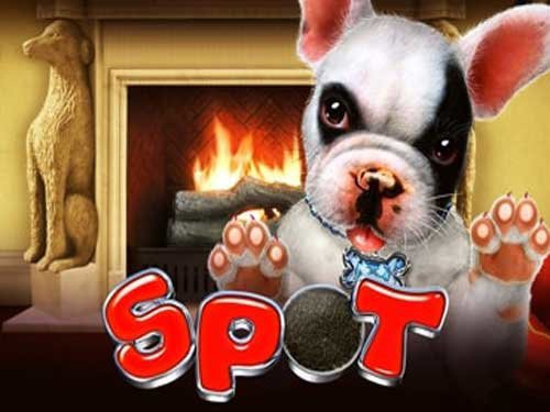 Spot Slot