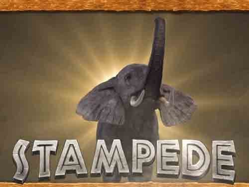 Stampede Slot