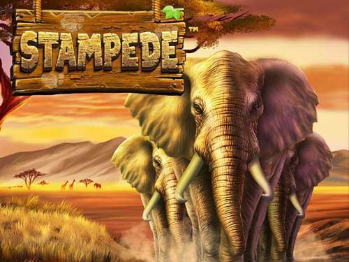 Stampede Slot