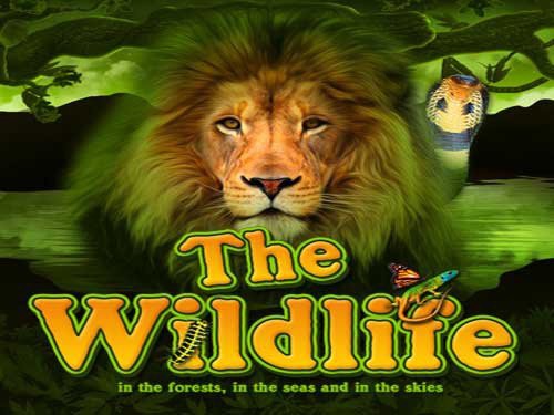 The Wildlife Slot