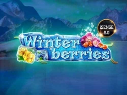 Winter Berries Slot