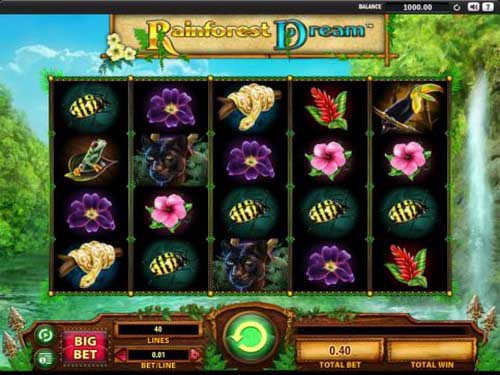 Rainforest Dream Slot