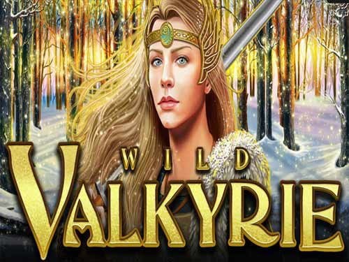 Wild Valkyrie Screenshot