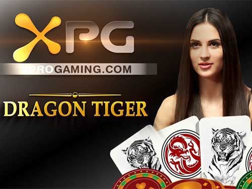 Dragon Tiger Screenshot
