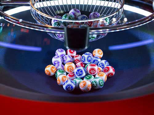 How to Play Bingo