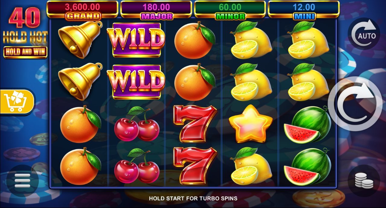 40 Hold Hot Hold and Win Slot.jpg