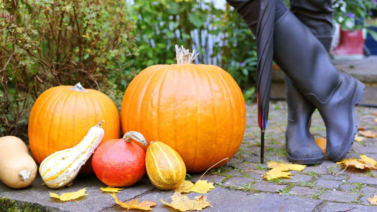 5 Online Slots to Get You in the Mood for Autumn