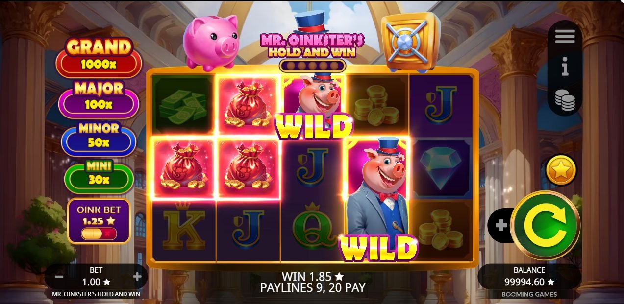 Mr Oinksters Hold and Win slot.jpg
