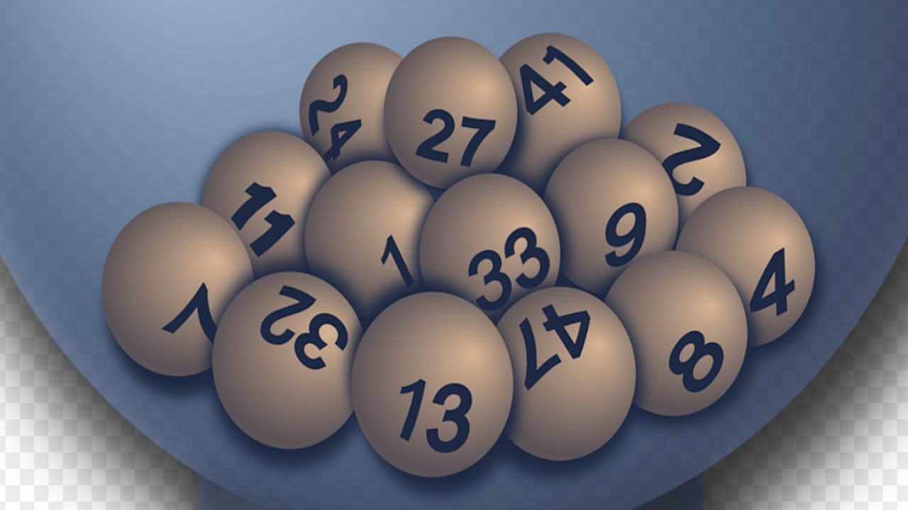 Bingo and Beats: A New Musical Experience