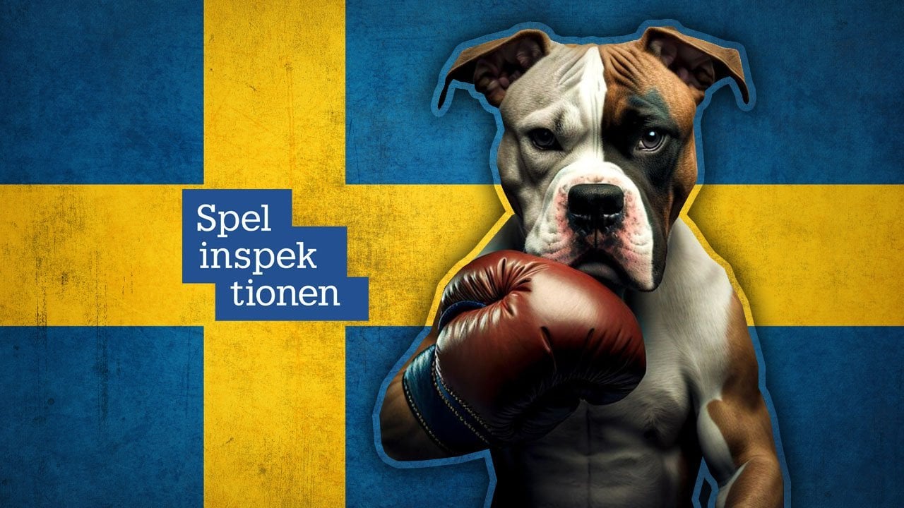 Swedish Watchdog Chases Down Non-Compliant Gambling Providers and Developers