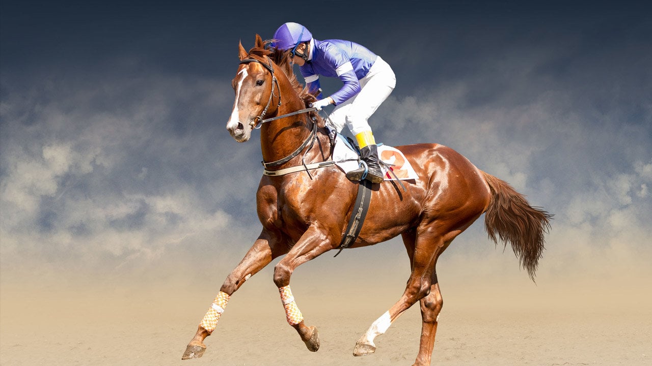 $20 Million Saudi Cup Prize Money Withheld After Doping Allegations