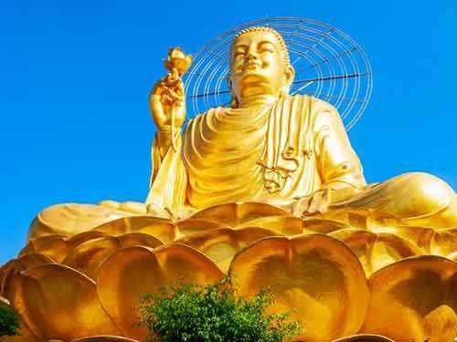 Golden Lotus