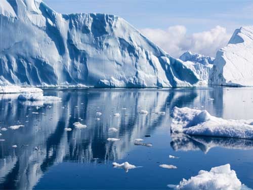 Arctic