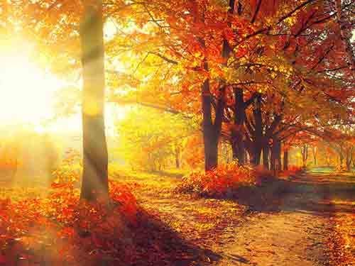 Autumn
