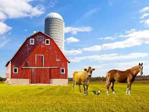 Barn