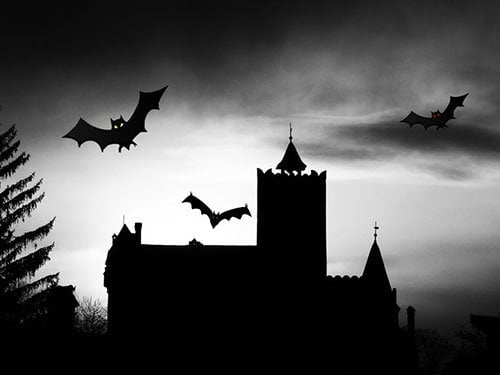 Bats