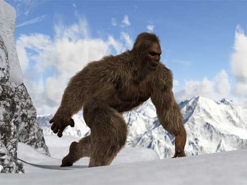 Yeti