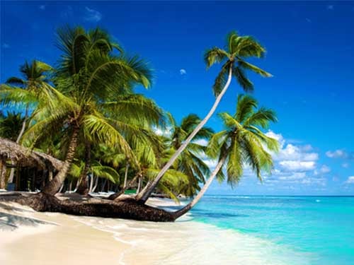 Caribbean