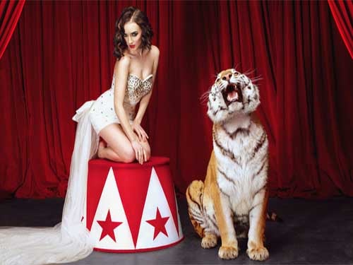 Circus