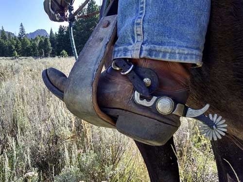 Cowboys