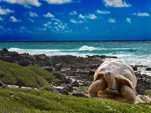 Galapagos Islands