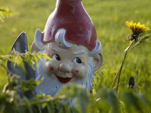 Gnome